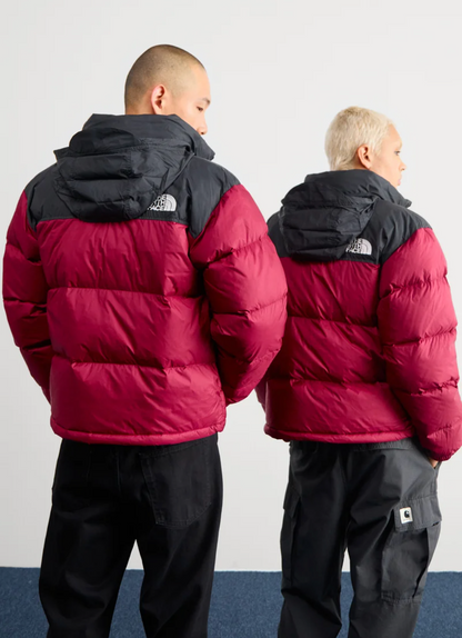 Retro Nuptse Jacket 700 - TNF
